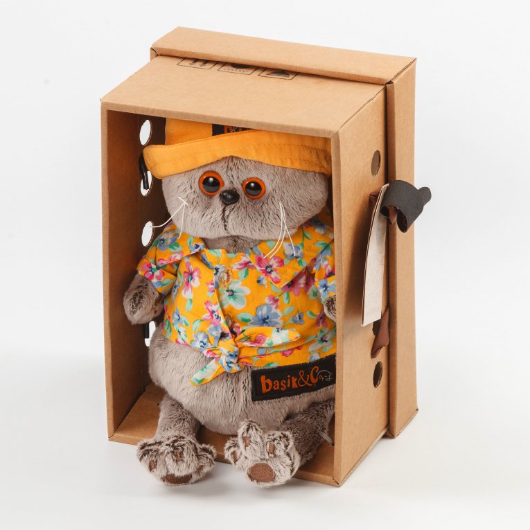 Кот Басик в панаме