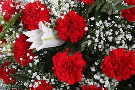 Букет с гвоздиками Салют