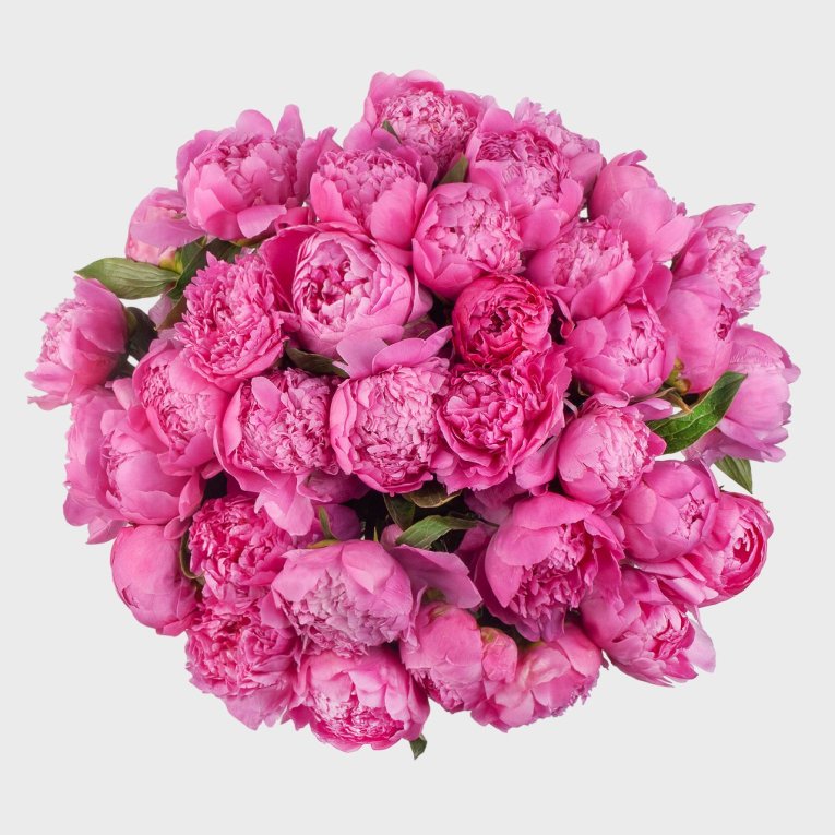 Букет 35 пионов Малиновый рай