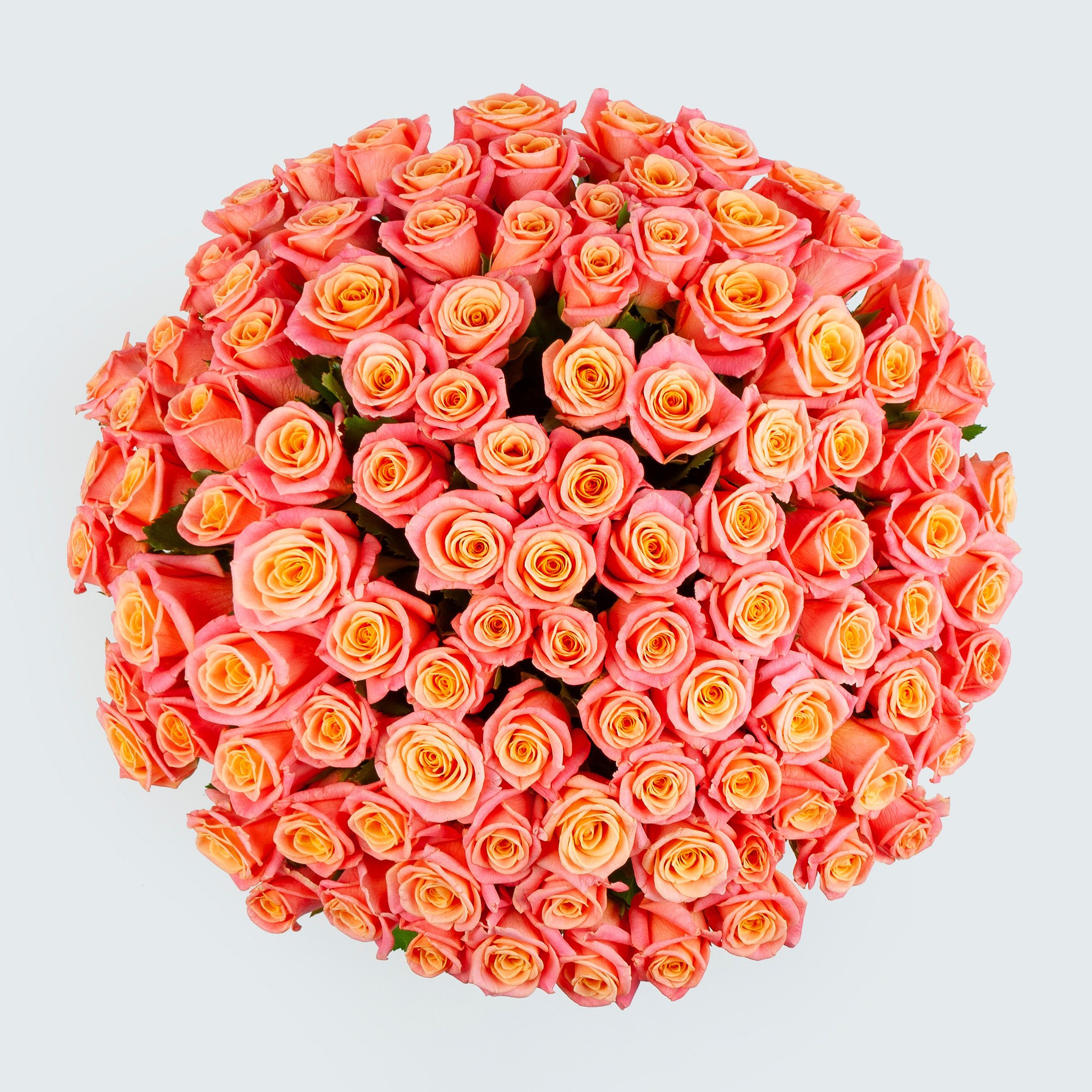 Букет из 101 розы Добрые вести