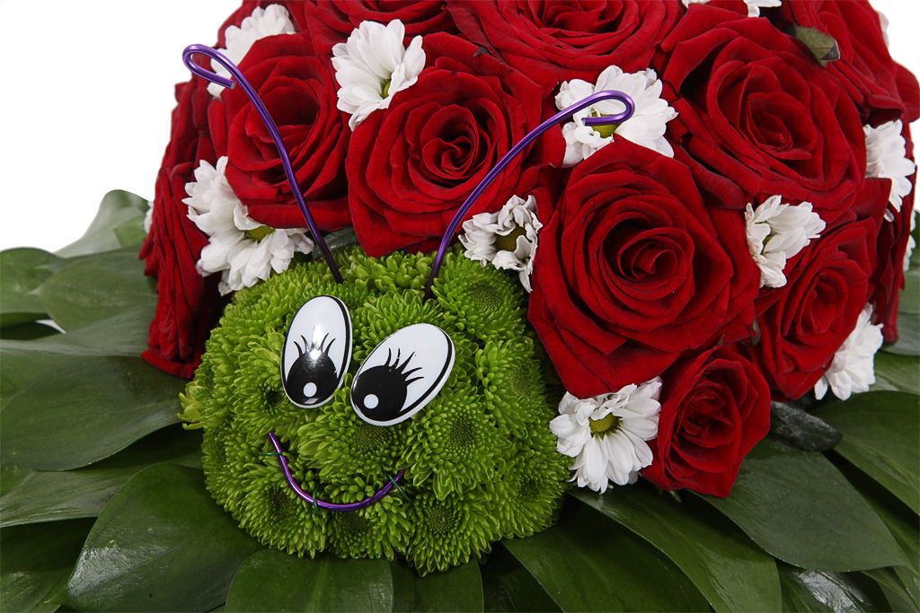 Божья коровка