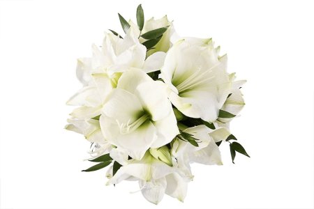 Букет с гиппеаструмами Белая чайка