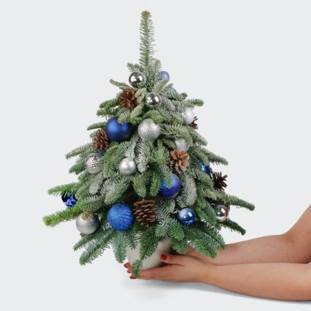 Композиция с нобилисами и украшениями Чародейка
