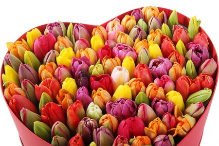 Композиция Весеннее вдохновение (макси), микс