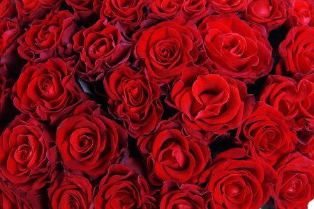 Сердечное признание