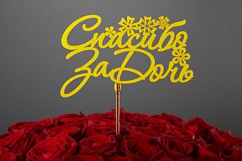 Топпер «Спасибо за дочь»