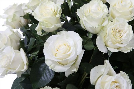 Букет 35 роз Мондиаль в корзине