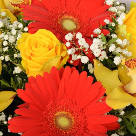 Букет с орхидеями и розами Бархатное сердце