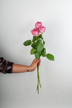Роза розовая 60 см (3 шт.)
